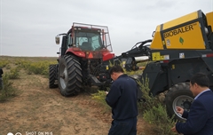 2019年，內(nèi)蒙奈吉牧草有限公司，采購一臺Anderson檸條平茬機(jī)